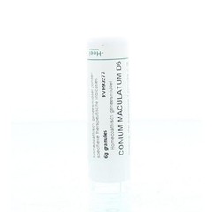 Homeoden Heel Conium maculatum D6 (6 gr)