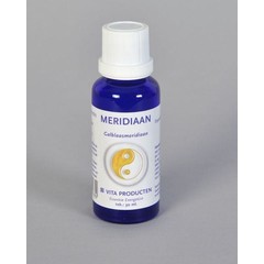 Vita Meridian Gallenblasenmeridian (30 ml)