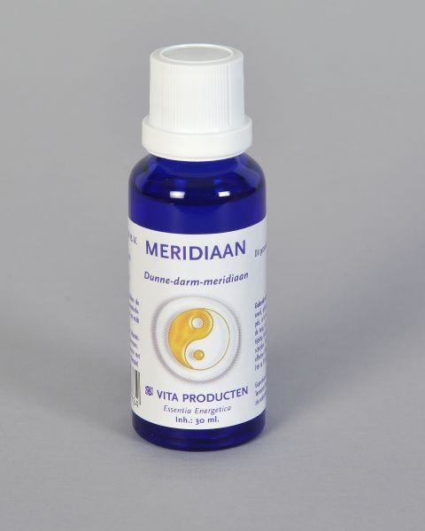 Vita Meridian Dünndarm-Meridian (30 Ml)