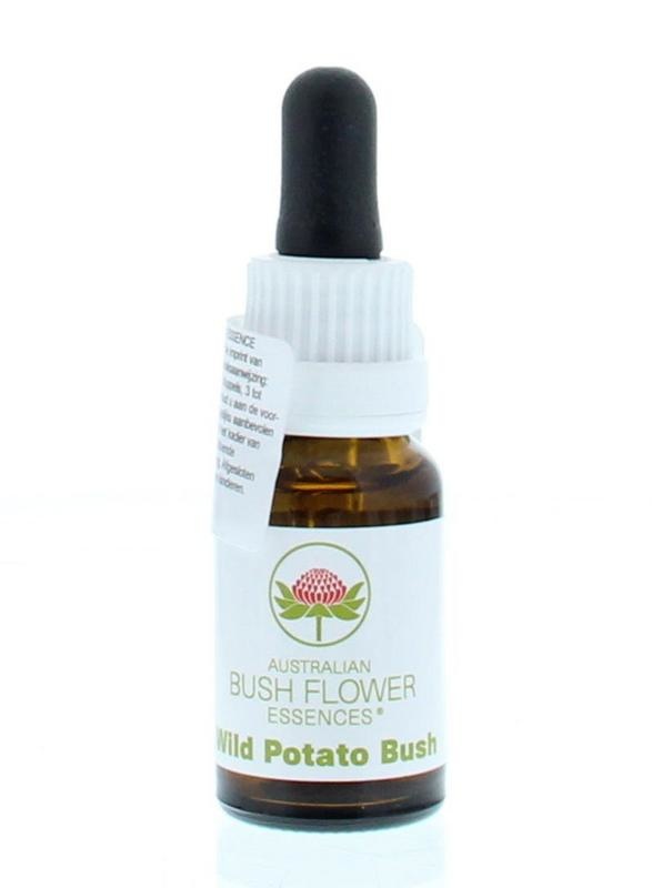 Australian Bush Wilder Kartoffelstrauch (15 Ml)