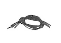 Essentials Schnürsenkel elastisch schwarz (4 Stück)