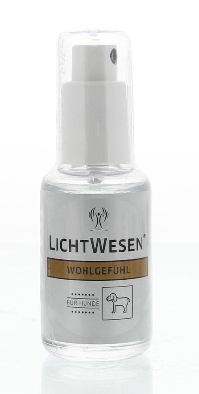 Lichtwesen Wohlfühlhund (30 Ml)