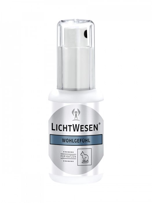 Lichtwesen Wohlfühlkatze (30 Ml)