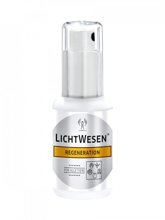 Lichtwesen Regeneration alle Tiere (30 Ml)