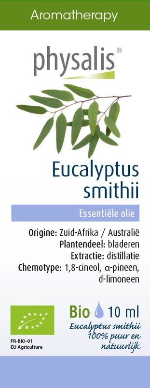 Physalis Eucalyptus smithii bio (10 Ml)