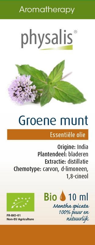 Physalis Grüne Minze bio (10 Ml)