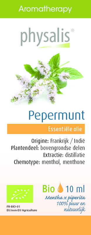 Physalis Pfefferminze bio (30 Ml)