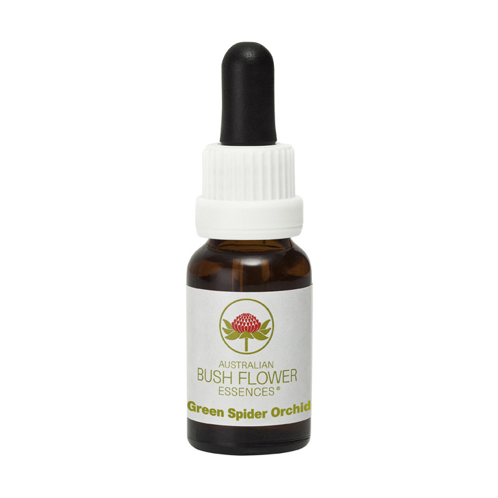 Australian Bush Grüne Spinnenorchidee (15 Ml)