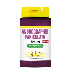 NHP Andrographis paniculata 500 mg pur (60 vegetarische Kapseln)