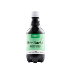 Purasana Kombucha-Getränk natur (330 Ml)