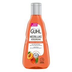 Guhl Shampoo Pflege Pfirsich (250 ml)