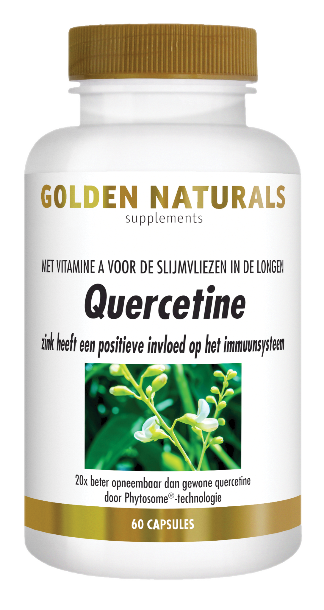 Golden Naturals Golden Naturals Quercetin (60 vegetarische Kapseln)