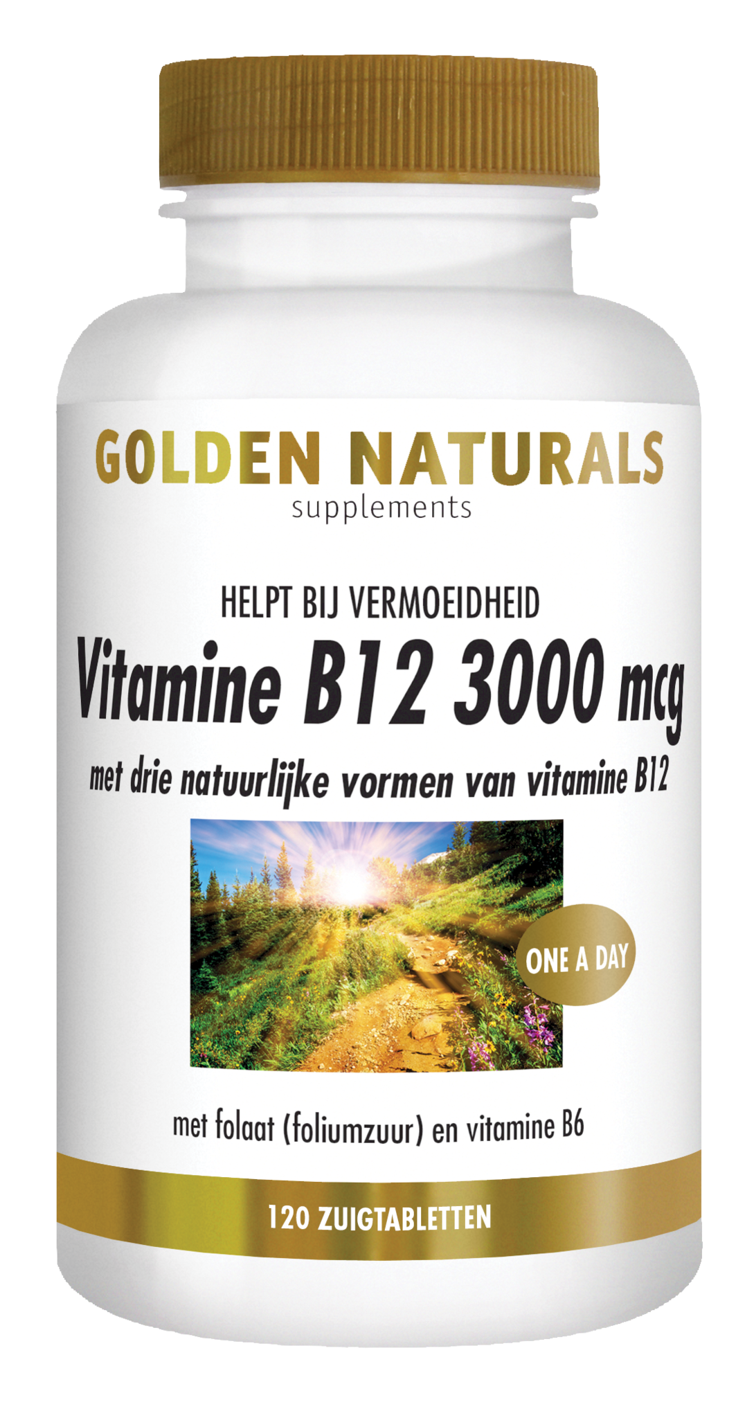Golden Naturals Golden Naturals Vitamin B12 3000mcg (120 Lutschtabletten)