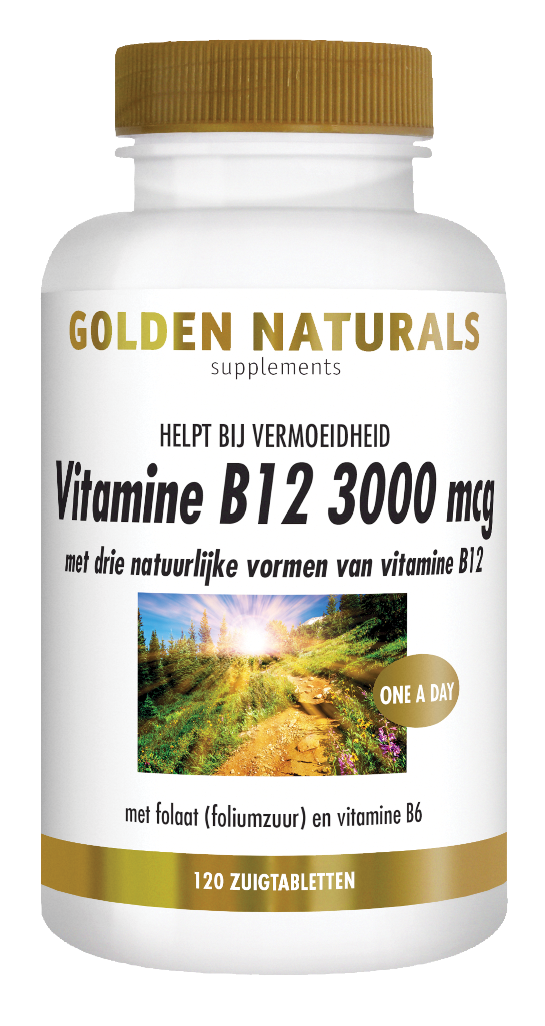 Golden Naturals Golden Naturals Vitamin B12 3000µg (120 Lutschtab)