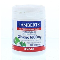 Lamberts Ginkgo 6000 mg 60 Tabletten 60 Tabletten
