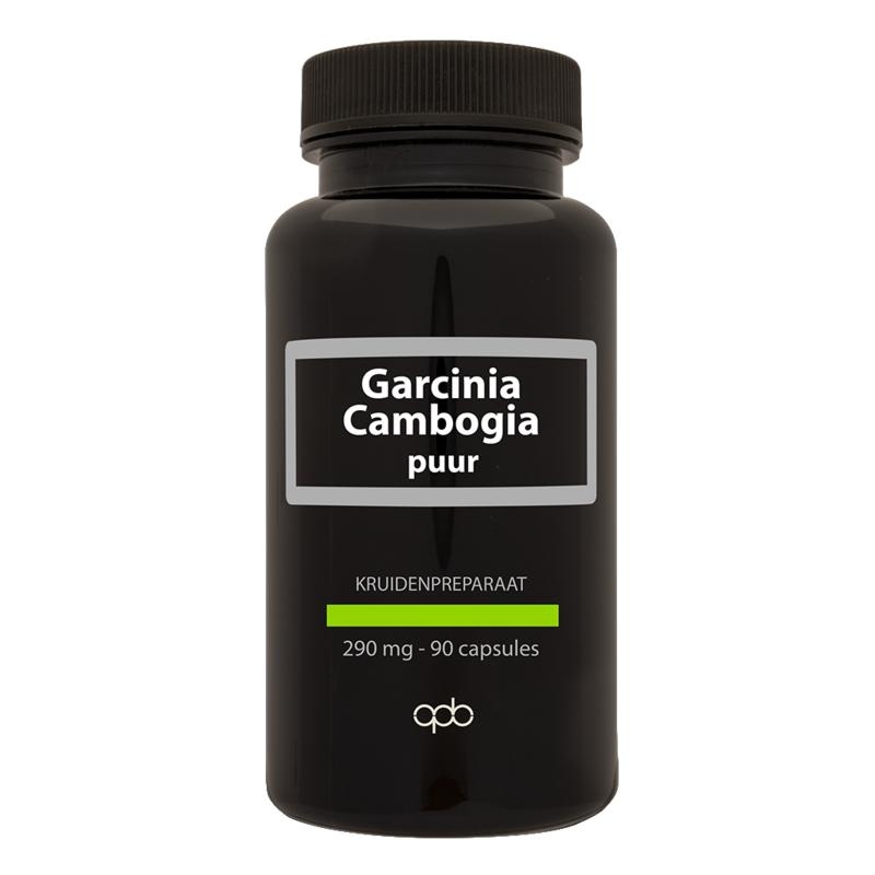 APB Holland Garcinia Cambogia 290 mg rein (90 vegetarische Kapseln)