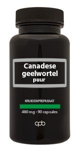 APB Holland Kanadische Kurkuma 480 mg rein (90 Caps)