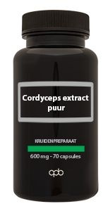 APB Holland Cordyceps 600 mg rein (70 Caps)
