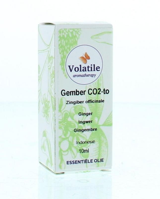 Volatile Ingwer CO2-TO organisch 10 Ml