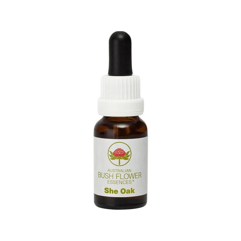 Australian Bush Sie Eiche 15 Ml