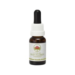 Gelbe Schlüsselblume Orchidee 15 Ml