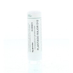 Homeoden Heel Homeoden Heel Plantago major D12 6 Gramm