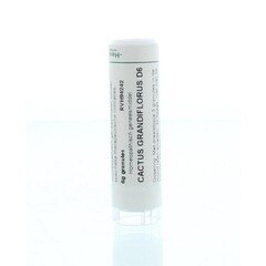 Homeoden Heel Cactus grandiflorus D6 6 Gramm