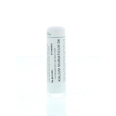 Homeoden Heel Kalium muriaticum D6 6 Gramm