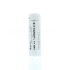 Homeoden Heel Natriumphosphoricum D6 6 Gramm
