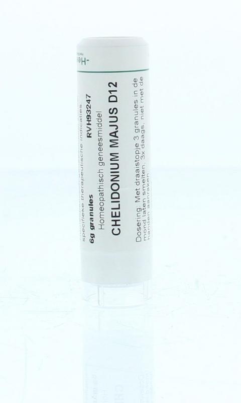 Homeoden Heel Chelidonium majus D12 6 Gramm