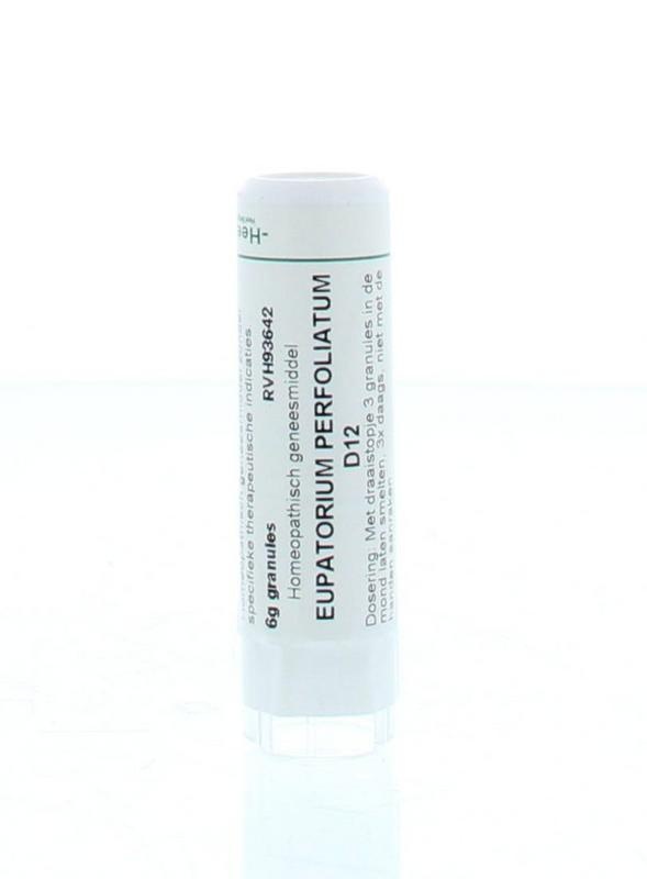 Homeoden Heel Eupatorium perfoliatum D12 6 Gramm