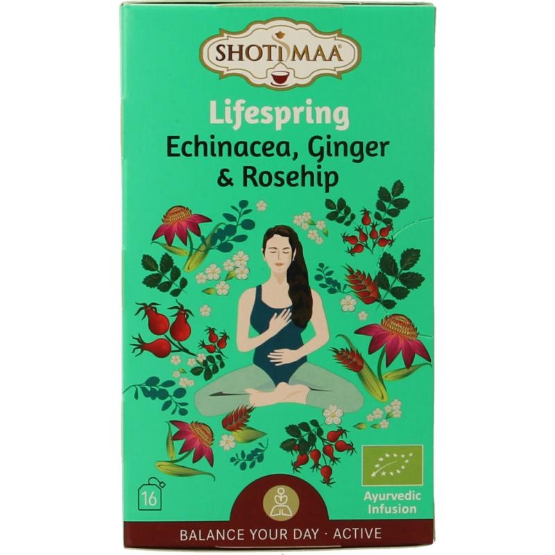 Shoti Maa Lifespring Echinacea, Ingwer & Hagebutte Bio (16 Beutel)
