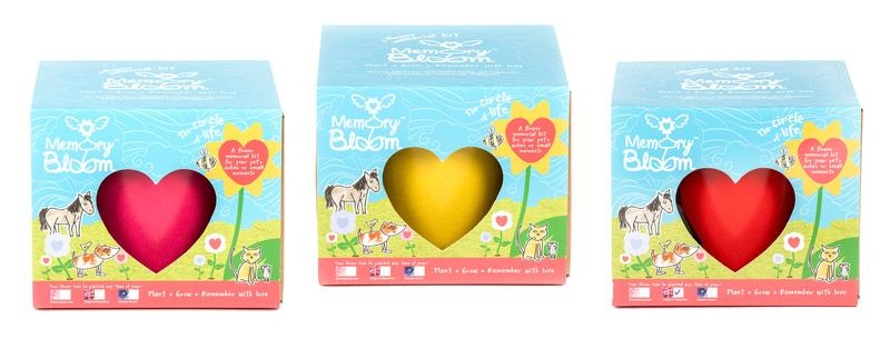 Memory Bloom Memory Bloom Mix Pack 6 Stück (6 Stück)