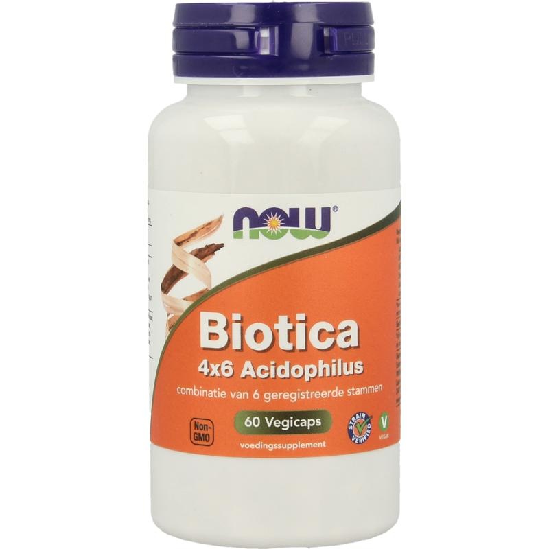 NOW JETZT Biotica 4x6 vh Probiotika (60 vegetarische Kapseln)