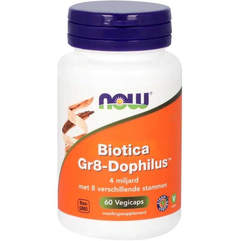 NOW JETZT Biotica Gr8-dophilus vh Probiotika (60 vegetarische Kapseln)