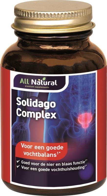 All Natural Solidago-Komplex (100 Tab)