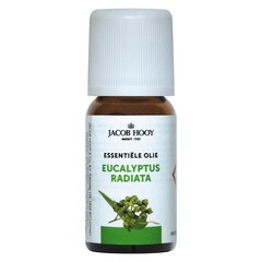 Jacob Hooy Eucalyptus radiata-Öl (10 Ml)