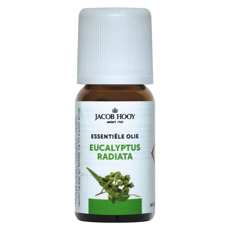 Jacob Hooy Eucalyptus radiata-Öl (10 Ml)