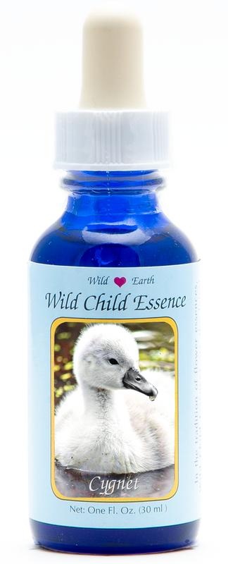 Animal Essences Tieressenzen Cygnet (Schwanenküken) (30 Ml)