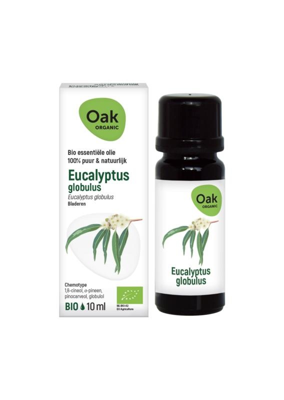 OAK EICHE Eukalyptus globulus Bio (10 Ml)
