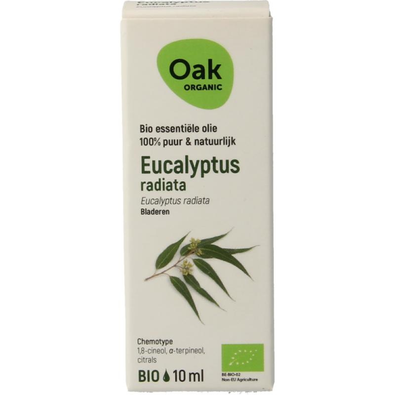 OAK EICHE Eukalyptus radiata Bio (10 Ml)