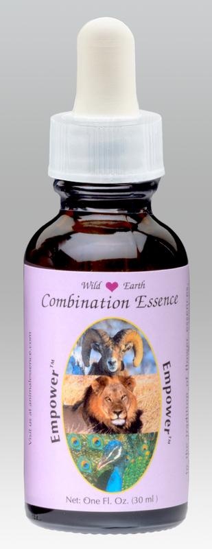 Animal Essences Tieressenzen-Kombination empower (30 Ml)