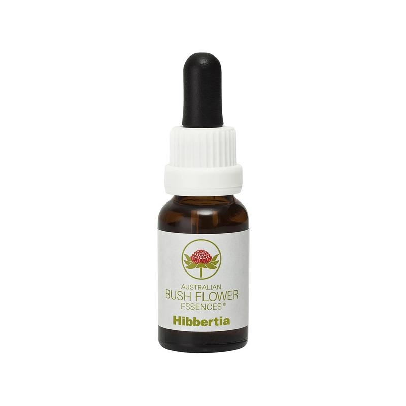 Australian Bush Australische Busch-Hibbertia (15 Ml)