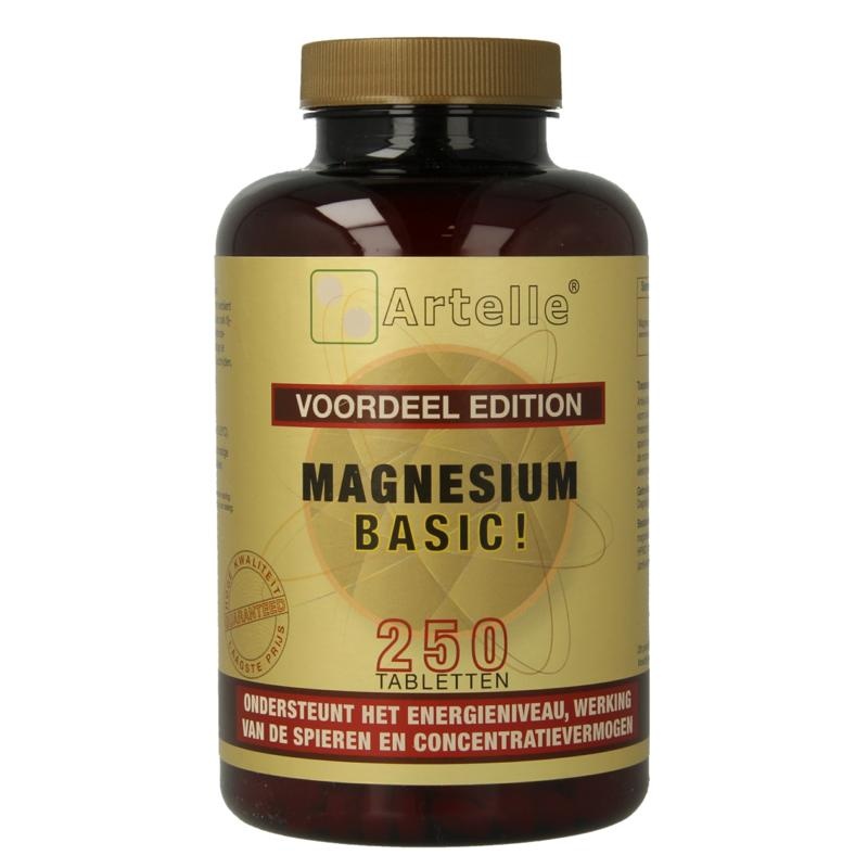 Artelle Artelle Magnesium basisch (250 Tab)