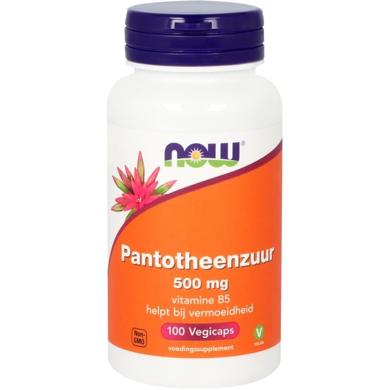 NOW Pantothensäure 500 mg (B5) (100 Caps)