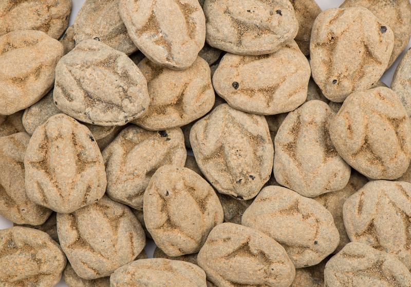 Van Vliet Van Vliet Salmiak-Frösche, süße Erinnerung (3500 Gramm)