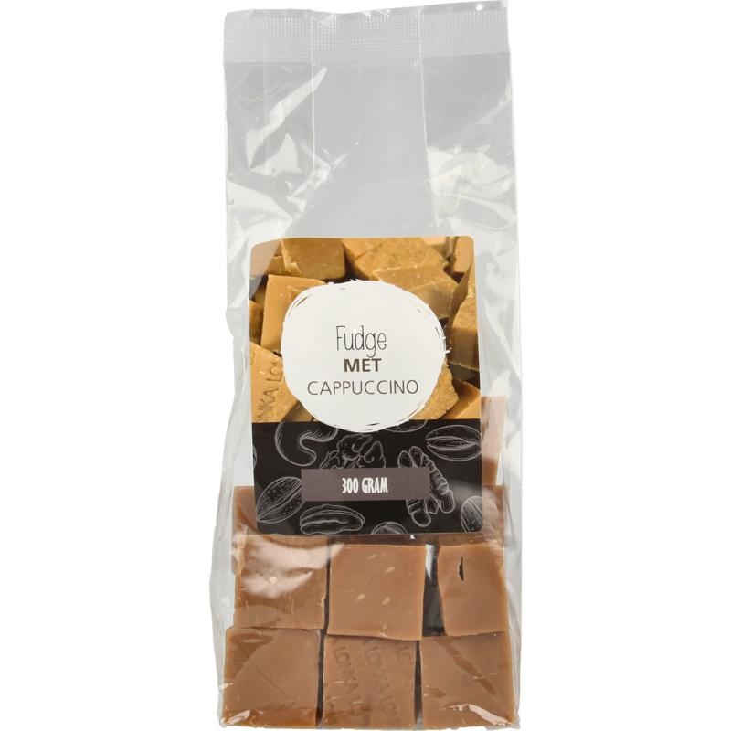 Mijnnatuurwinkel Mijnnaturewinkel Fudge Cappuccino (300 Gramm)
