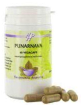 Holisan Punarnava (60 Caps)