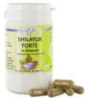 Holisan Shilayur forte (45 VCaps)