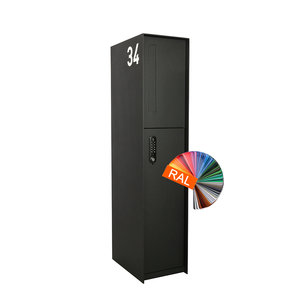 eSafe / ONZO eSafe Fenix Front in RAL-Kleur